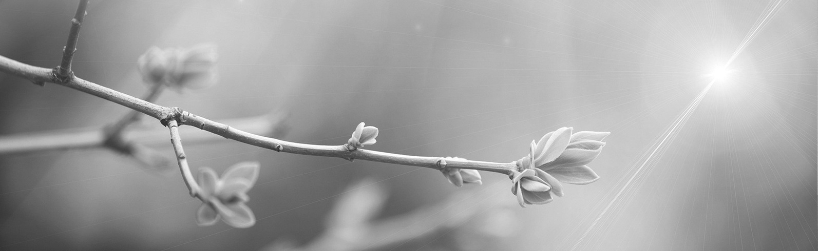 What is your ESG & Carbon Footprint? What is your ESG & Carbon Footprint?