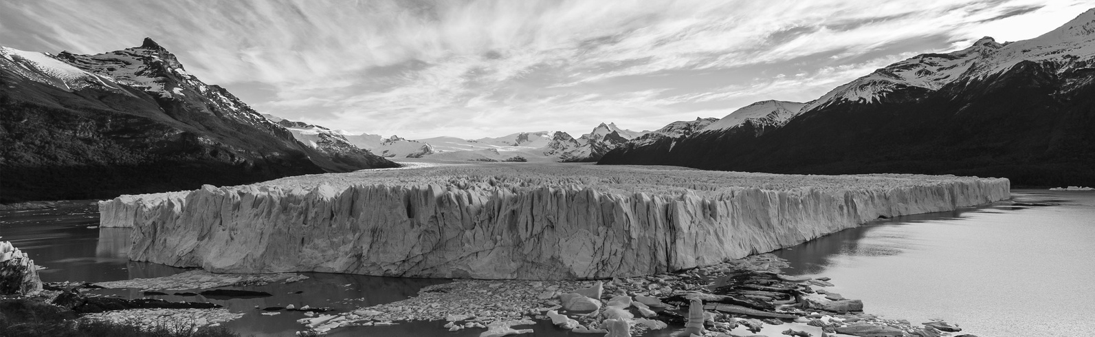 We track your Investment Funds for you We track your Investment Funds for you