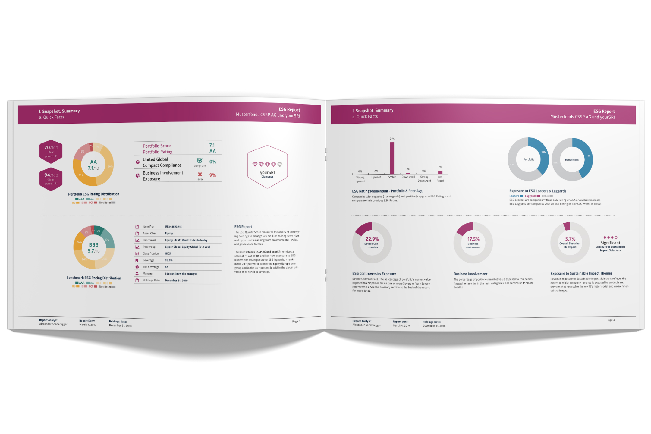 ESG & Controversies Screening_Screenshot Online.png